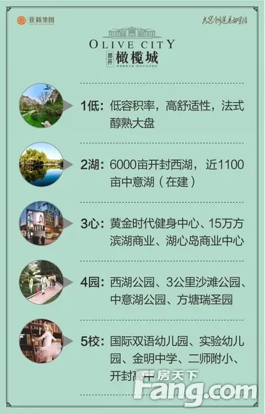 橄榄城老友记