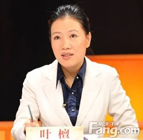 叶檀真的来了!与西溪里共论海口新机遇图片