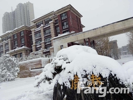 【济宁】楼盘软文 :住城投鹿港洋房 看风花雪月