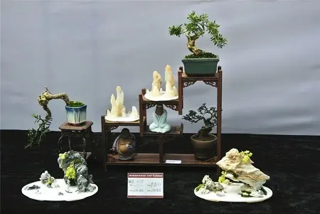 首届贵州中小型盆景展暨“红华杯”盆景邀请赛盛大开幕_房产资讯-贵阳搜房网