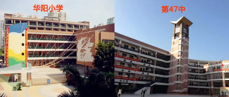 华阳小学