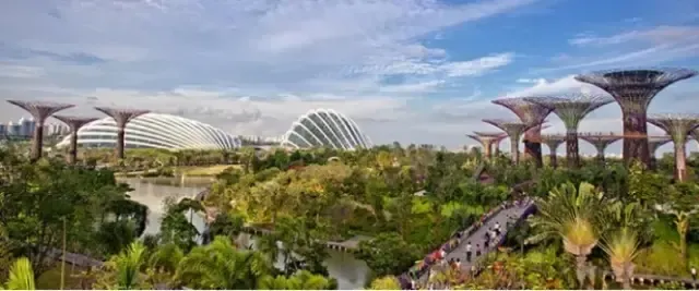 碧桂园森林城市:下一个迪拜还是新加坡?