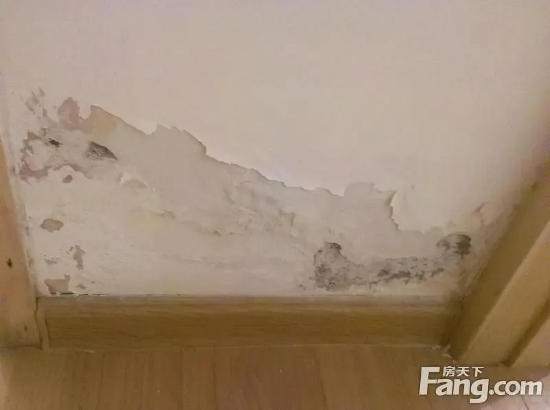 新房一年修了三次 墙面渗水却找不到漏水点_房产资讯-合肥搜房网