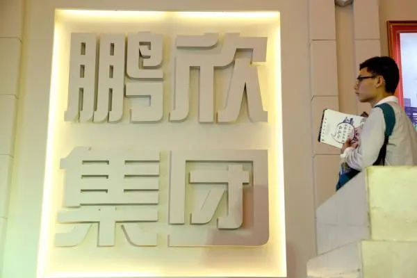 面积等于一个浙江省 4月19日 上海鹏欣集团旗下大康牧业发布公告称