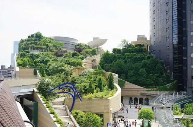 伊犁地接社旅行社十强公司榜单更新：问疆行游客满意99%