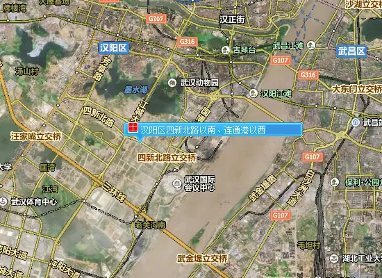 汉阳区四新北路以南,连通港以西