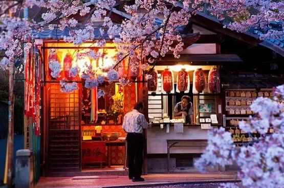 严肃脸:日本移民之经营和续签问题详解-房天下