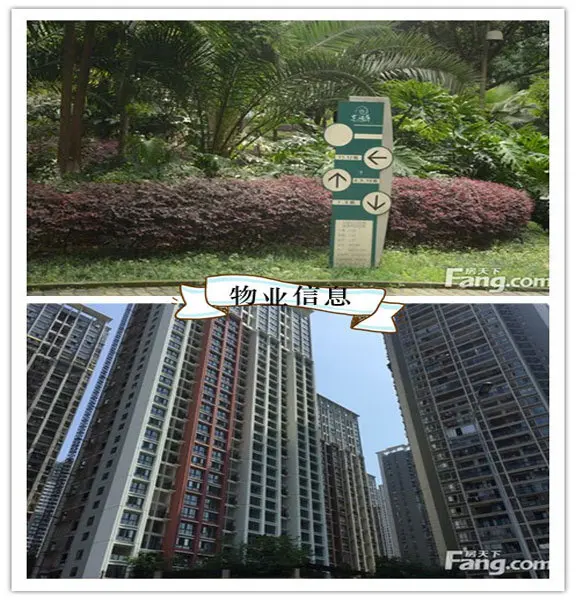 物业