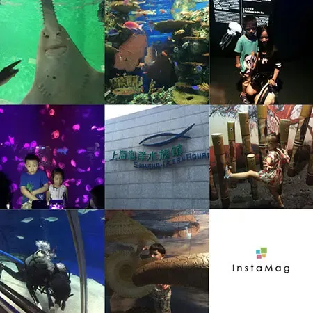 【贵阳】楼盘软文 :贵州孩子上海归来童画贵州