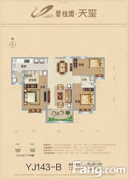 碧桂园天玺户型图