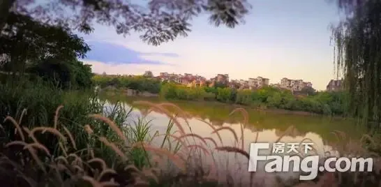 【南宁】楼盘软文 :南宁房价一直涨压力山大 这