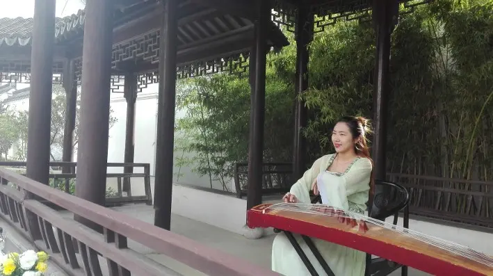 可见众横交错的天然水系和苏州园林景观,犹如一幅活灵活现的优美画卷
