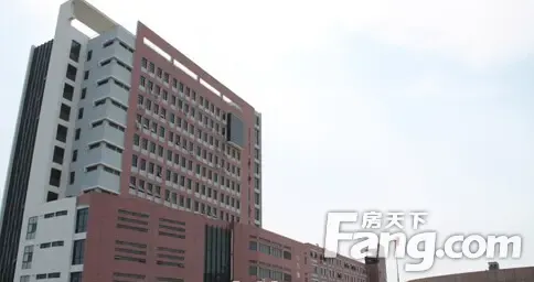 青岛四区高中明年统筹招生 局属高中增至15所