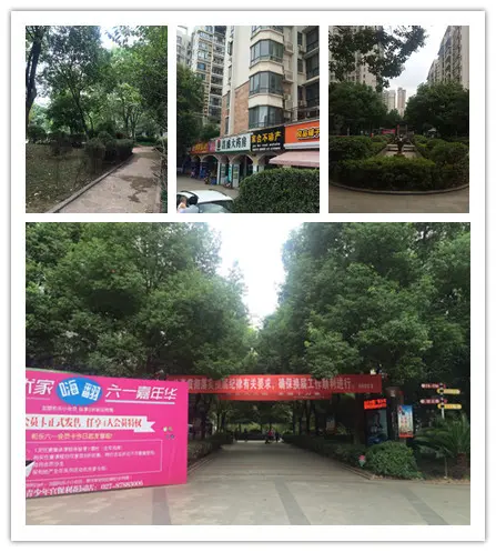 小区绿化