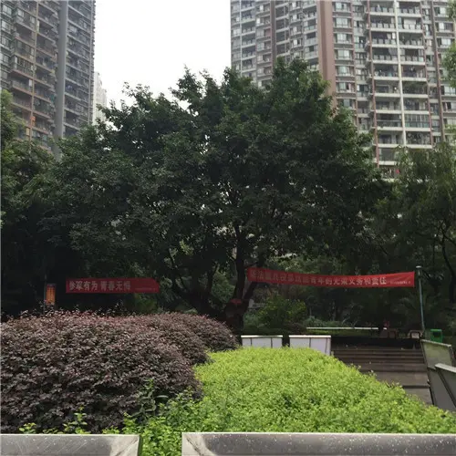 门口