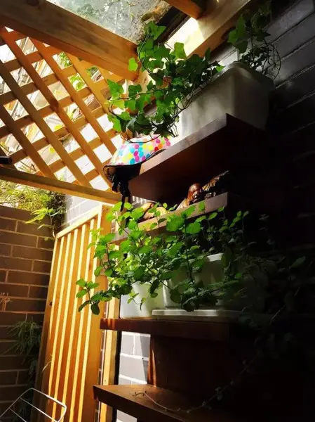 23㎡超小户型老洋房改造 小阁楼阳光房美得不