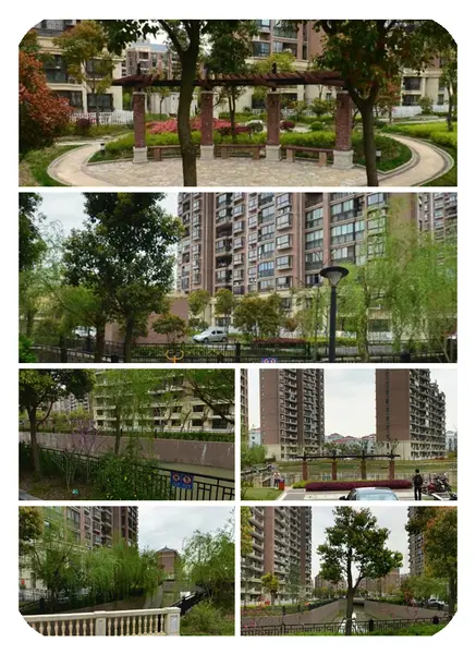 小区环境