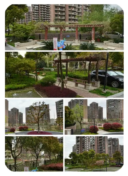 小区环境