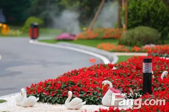 【佛山】楼盘软文 :浪漫草坪婚礼看碧桂园印象