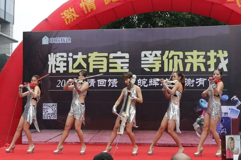 中皖辉达集团