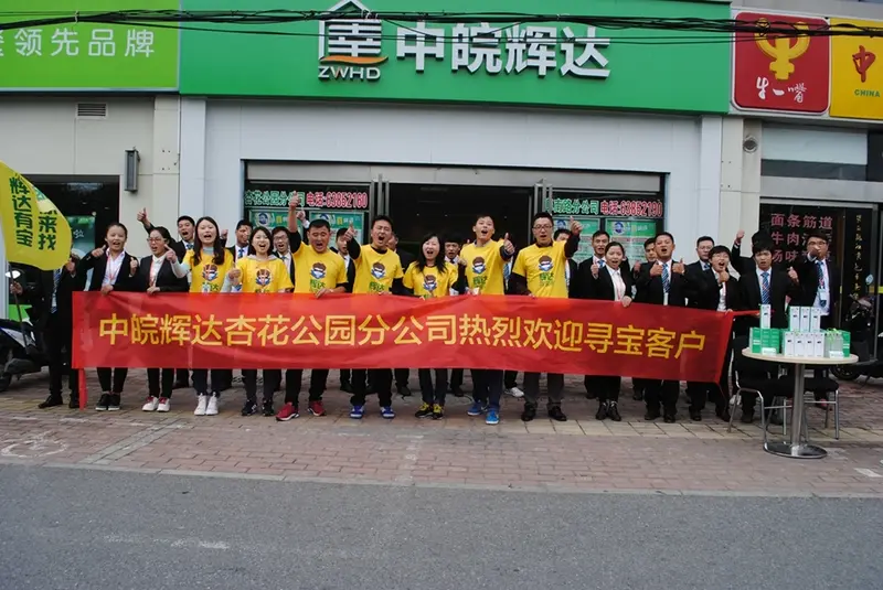 中皖辉达集团
