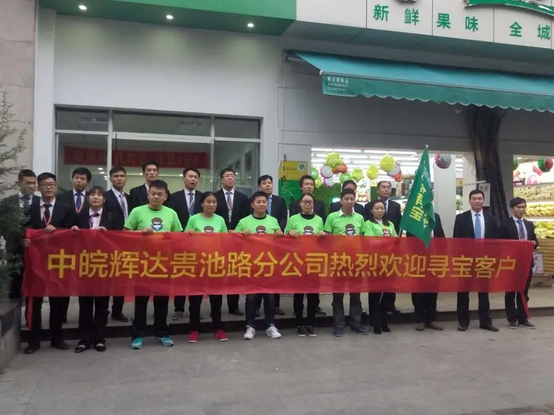 中皖辉达集团