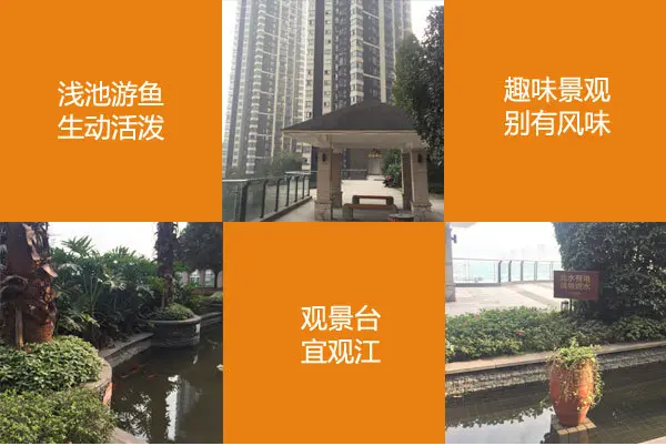 小区环境