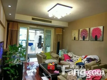 托乐嘉