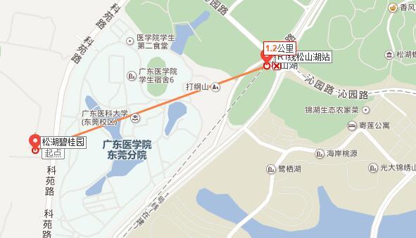 4、交通状况PK：松湖碧桂园公共交通更便捷