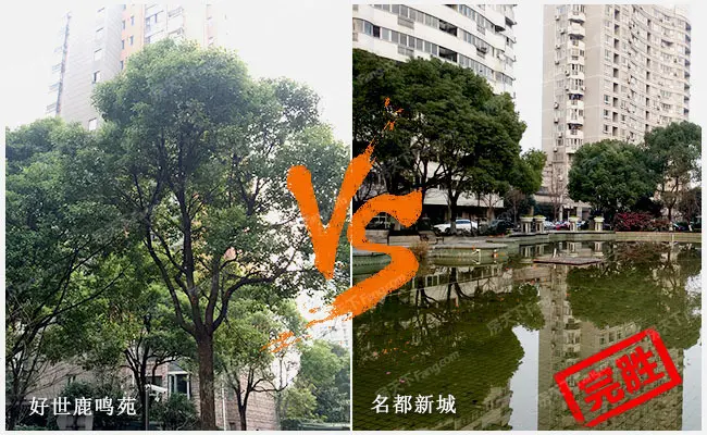 外景图