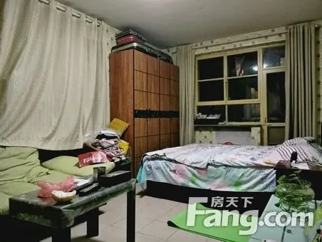 金马