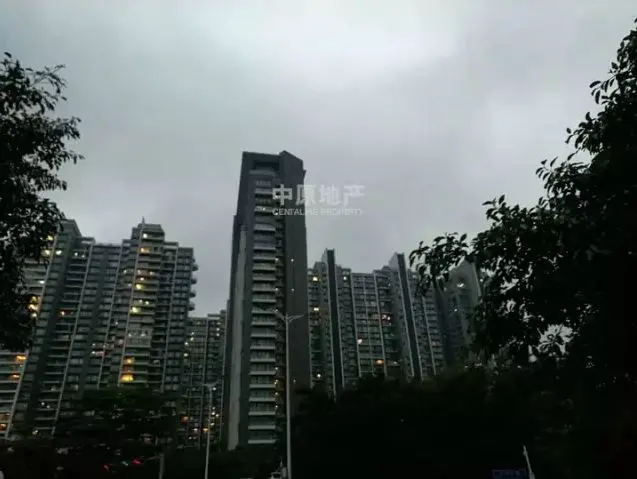 房源头条：深圳1月本周热门点击二手楼小区是？