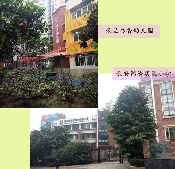 小学的话是按照划片区,就读渝北区长安锦绣实验小学,是渝北实验校的