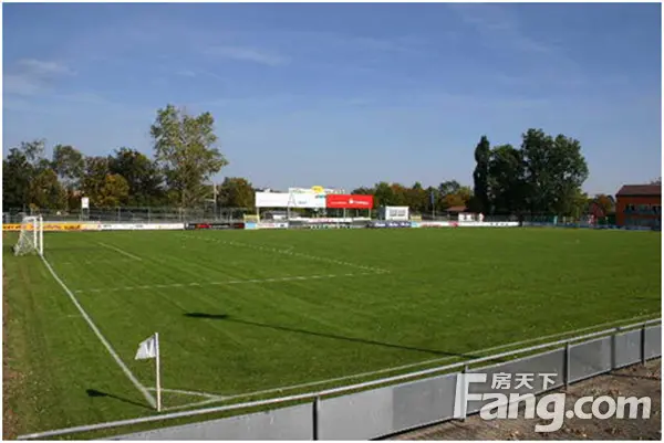 这支德国著名足球队为什么选择德国品赫漆?-家