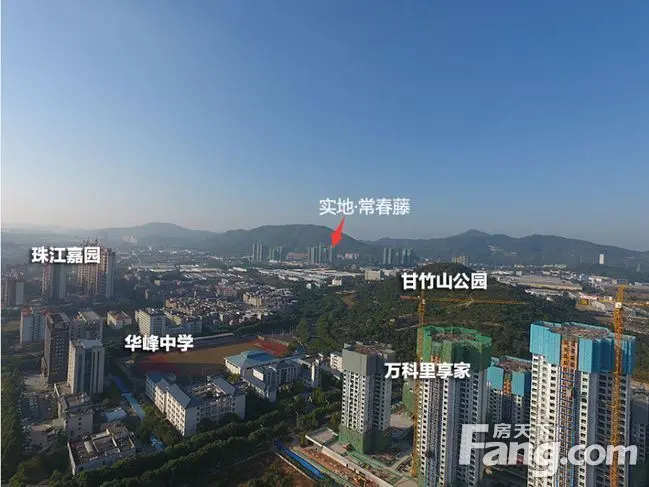 黄埔区府pk黄埔长岭居新福港鼎峰vs实地常春藤