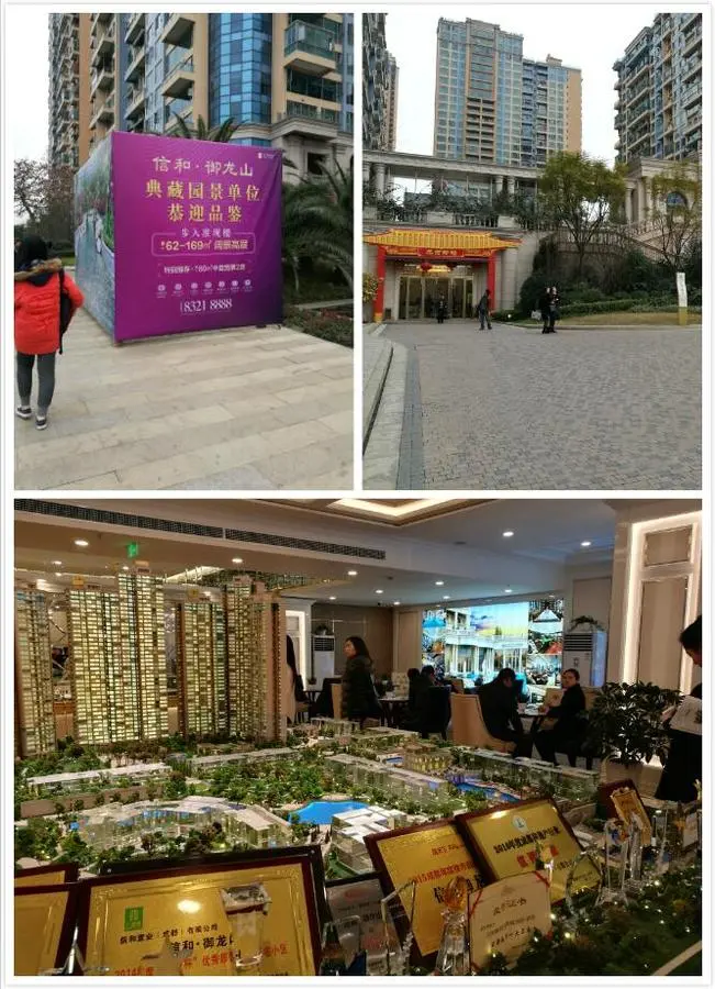 信和御龙山
