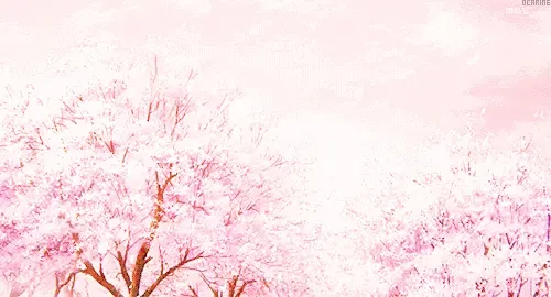 新家还没有装修,哪有心情诗情画意!