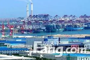 青岛保税港区牵手武汉 共建一带一路自贸驿站