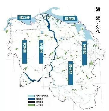 目前,海口的湿地面积为29093公顷,占国土面积的12.