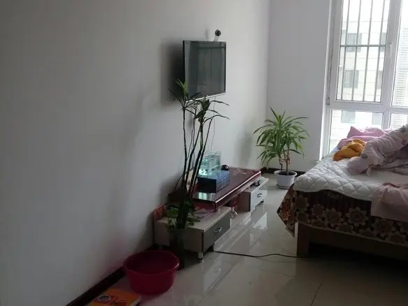 丽都新城