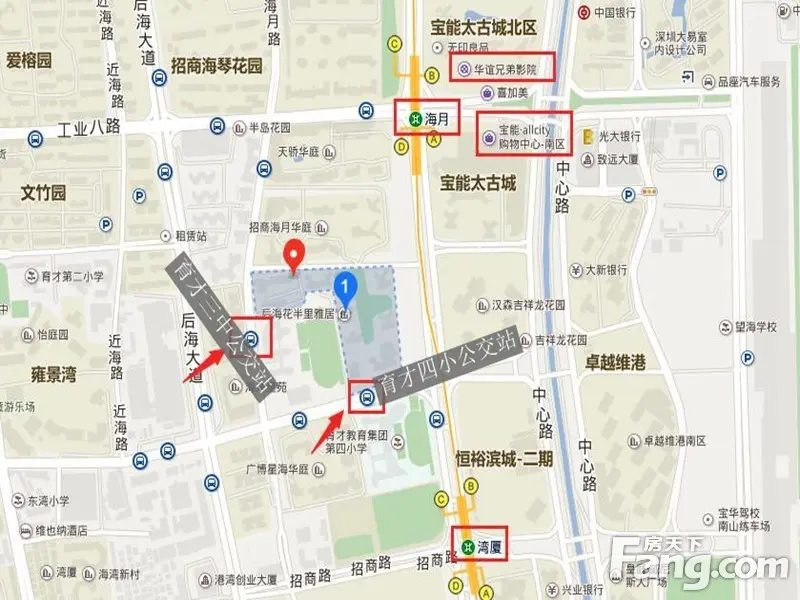 后海花半里
