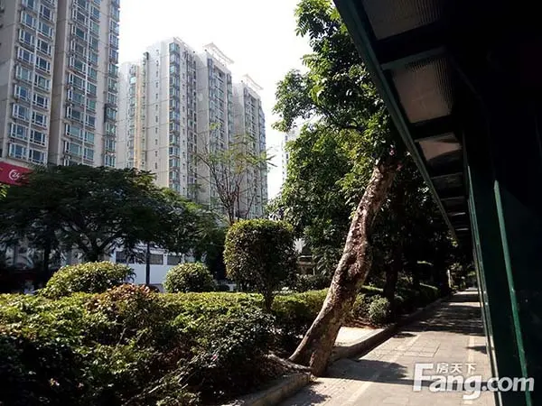 嘉南美地