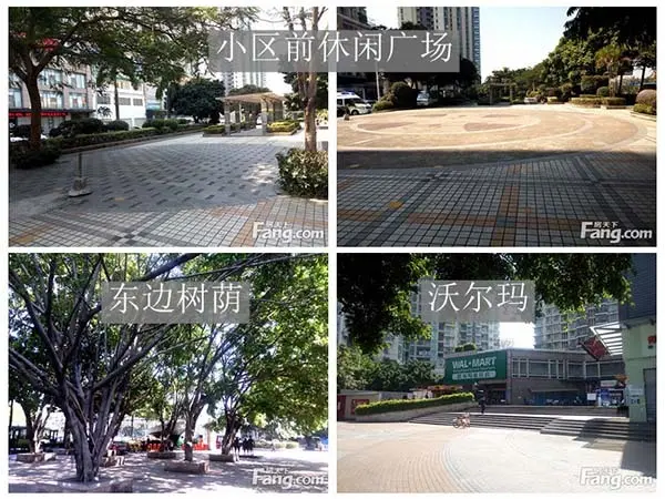 嘉南美地