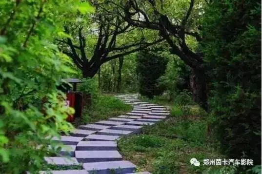 开着爱车驶入全新的电影世界，365天夜夜通宵放映，不受任何天气影响！