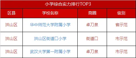 洪山区小学