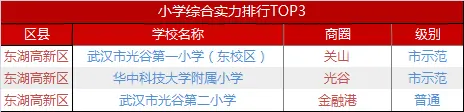 东湖高新区
