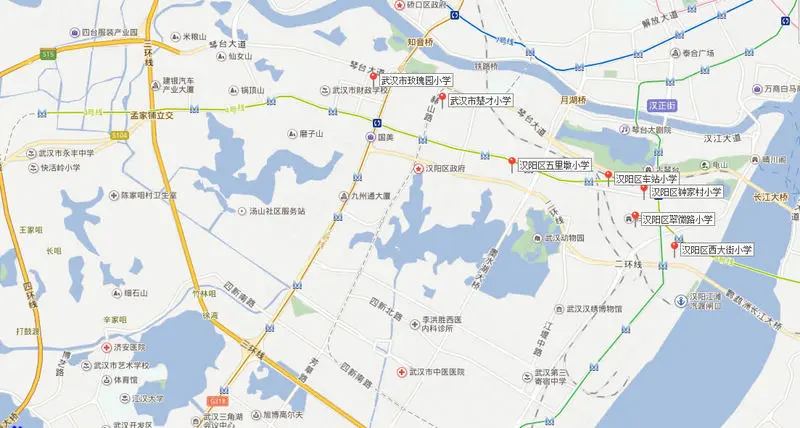 片区学校!武汉市各重点小学学区分布图你家旁鉴定实习小学教师图片