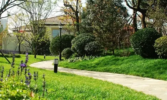 绿化率,绿地率傻傻分不清楚?不要再被开发商忽悠了!