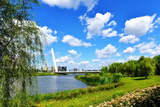 多个百亿企业兴建加速,沈北区域热度攀涨