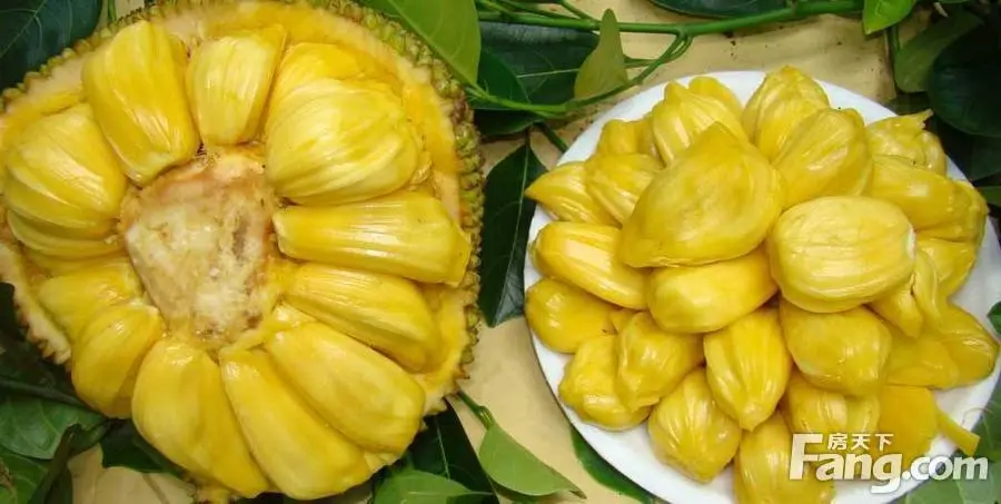 东方海域阳光 全城派送菠萝蜜!